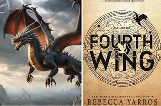 A dragon flying above a mountainous landscape next to the book cover for