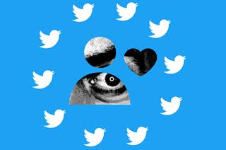 Eye looking through a Twitter themed peephole